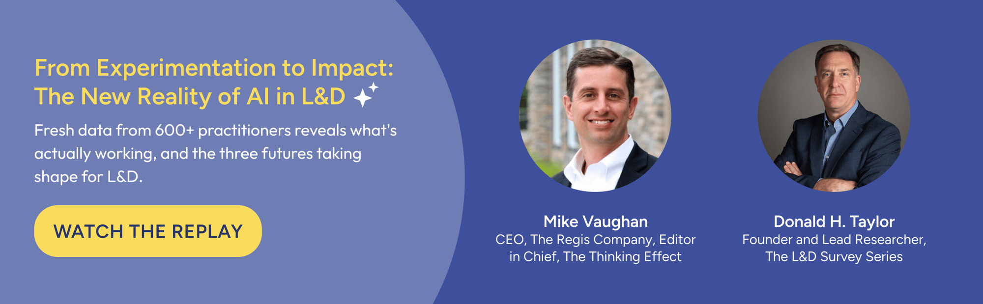 Donald Taylor LP Banner - Replay